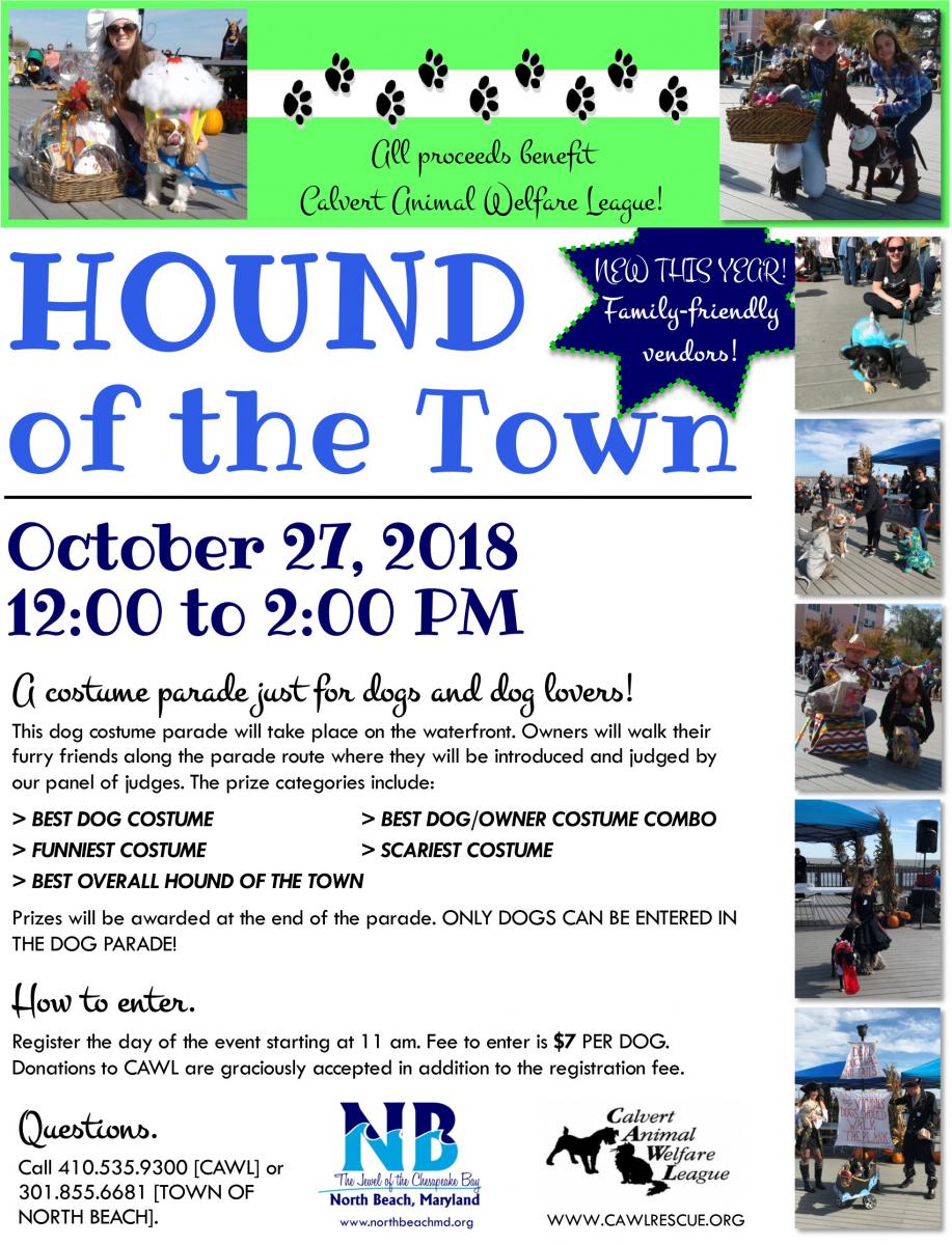 hound of the town