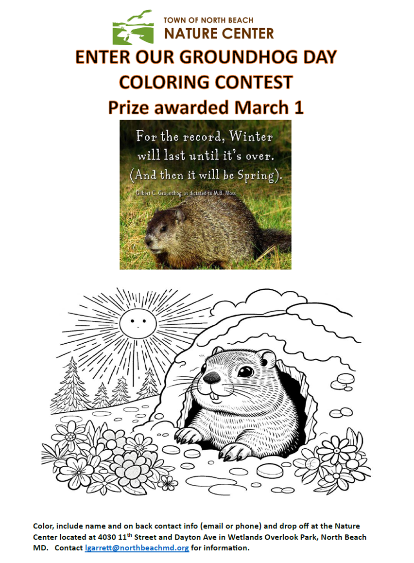groundhog flyer for coloring