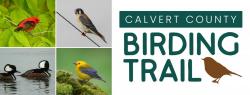 calvert birding trail