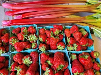 Rhubarb and cartons of strawberries.