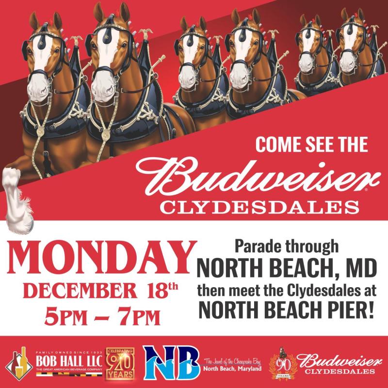 Clydesdales Flyer