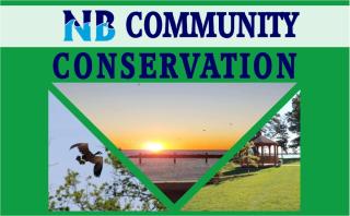 North Beach Community Conservation logo with green background and pictures of osprey, sun rise and grass.