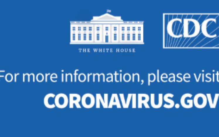 coronavirus dot gov
